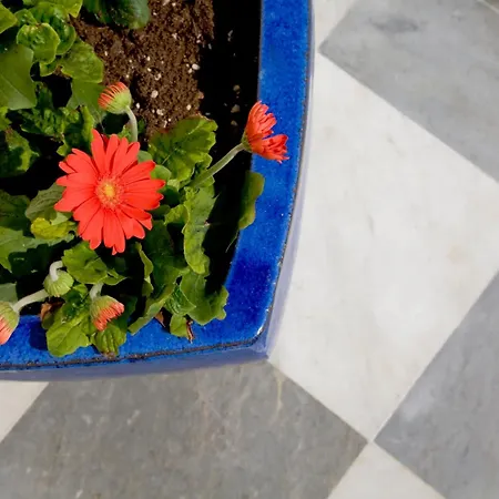호텔 르 빌 릴레스