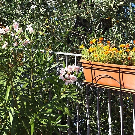 Le Ville Relais Hotel 3*