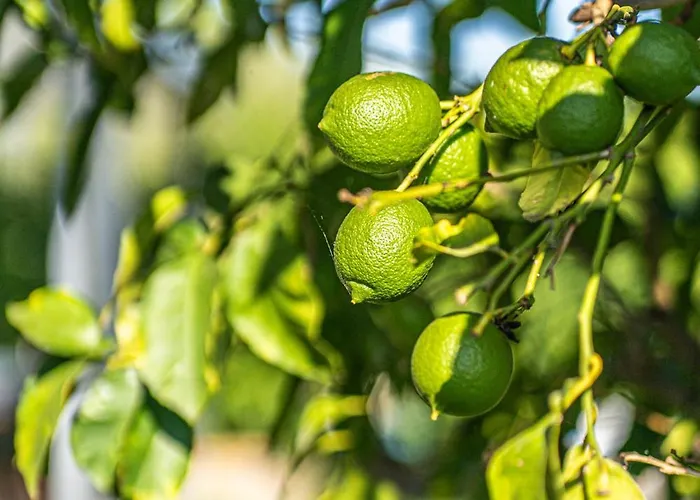 Le Relais Готель 3*